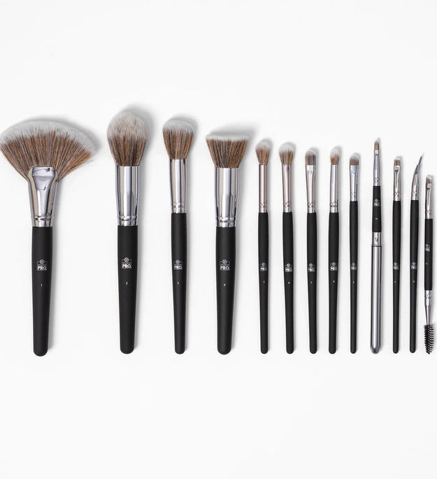 BH 13 Pcs Studio Pro Brushes Set